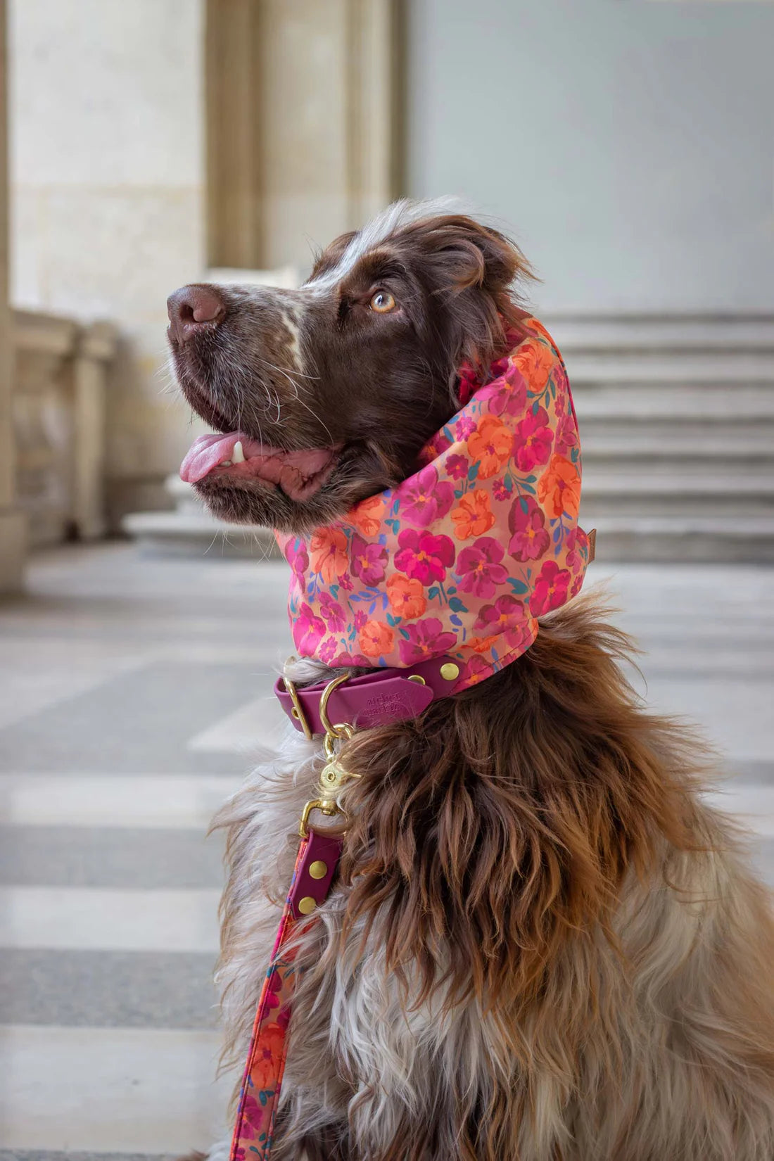 Snood Bellagio - Atelier Markiz