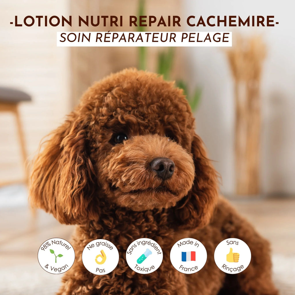 Lotion pour pelage chien et chat - Dexter&Mango