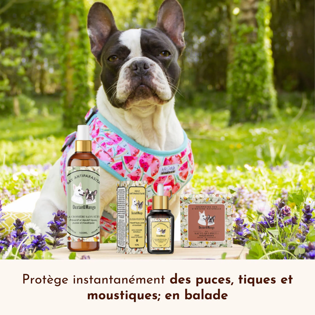 Lotion antiparasitaire - Dexter&Mango