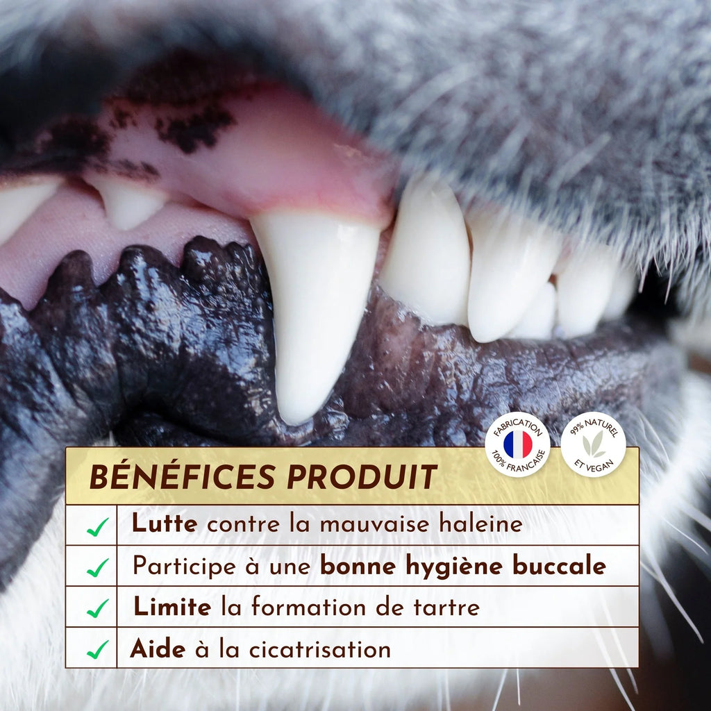 Spray buccal pour chien - Dexter&Mango