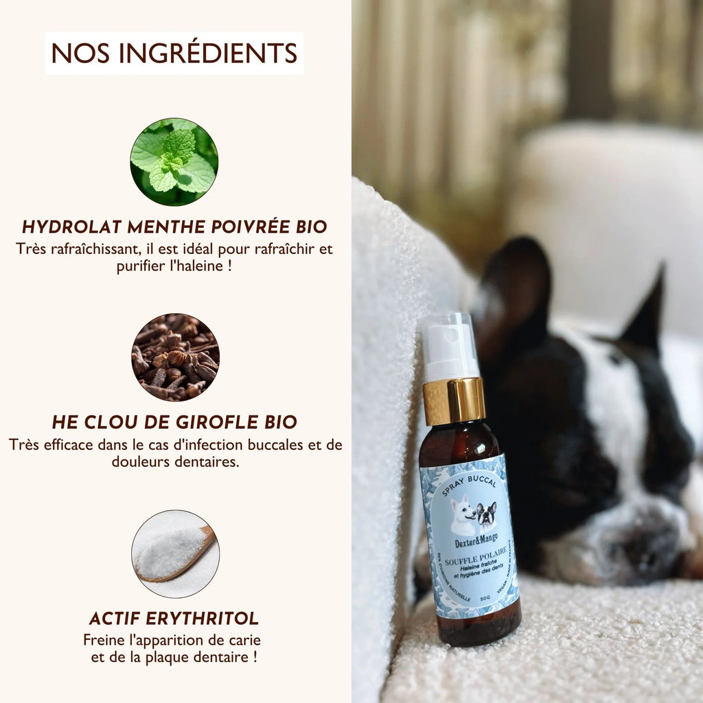 Spray buccal pour chien - Dexter&Mango