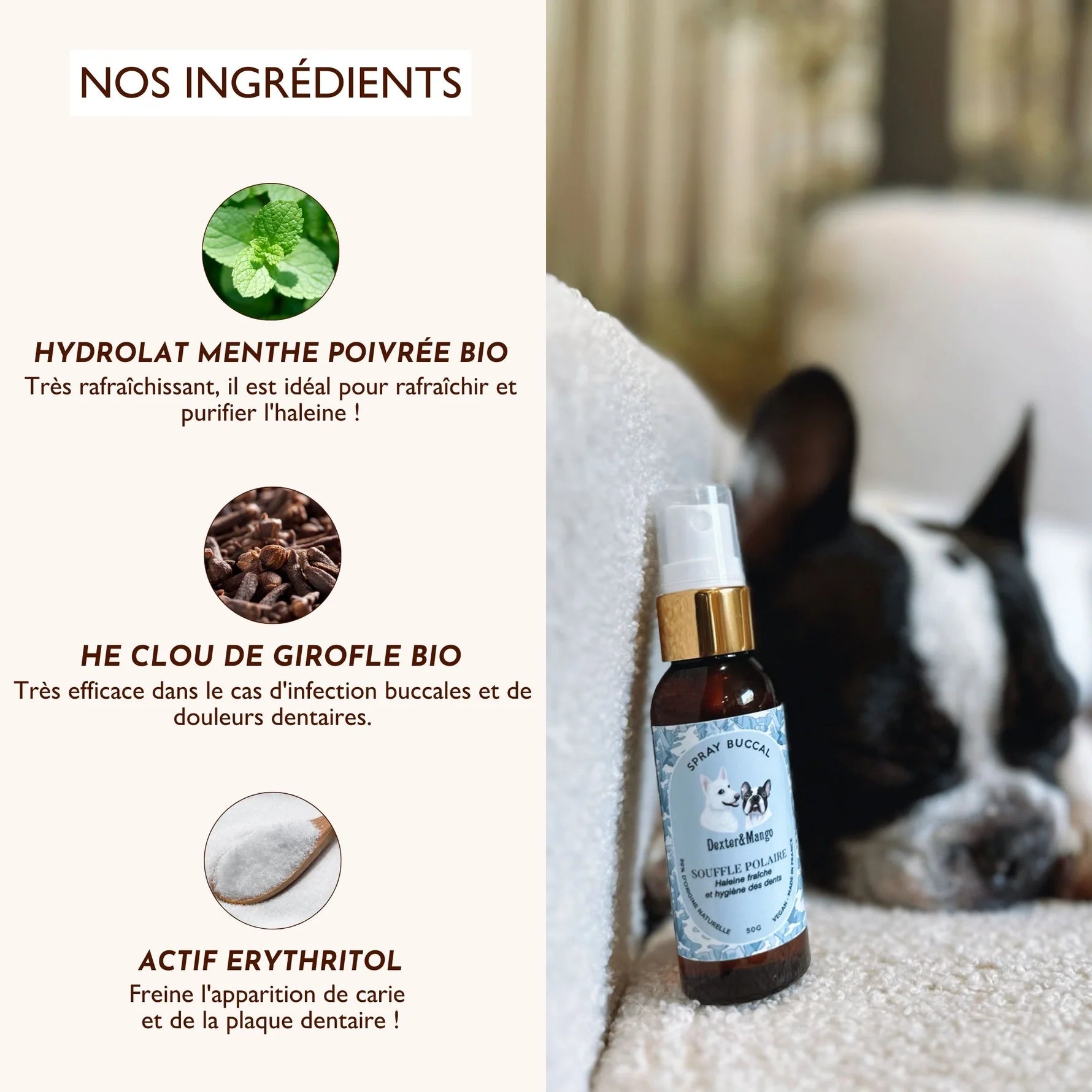 Spray buccal pour chien - Dexter&Mango