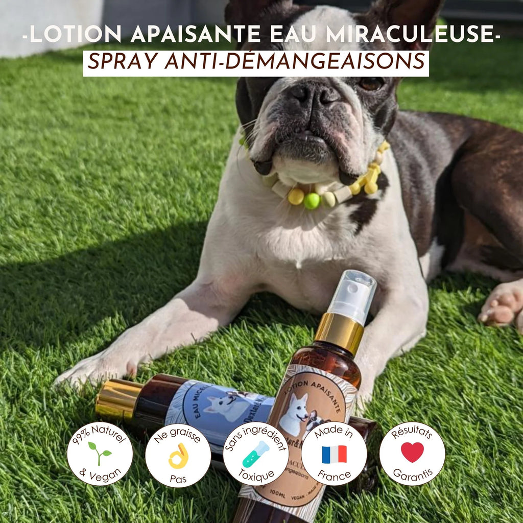 Lotion anti démangeaison chien - Dexter&Mango