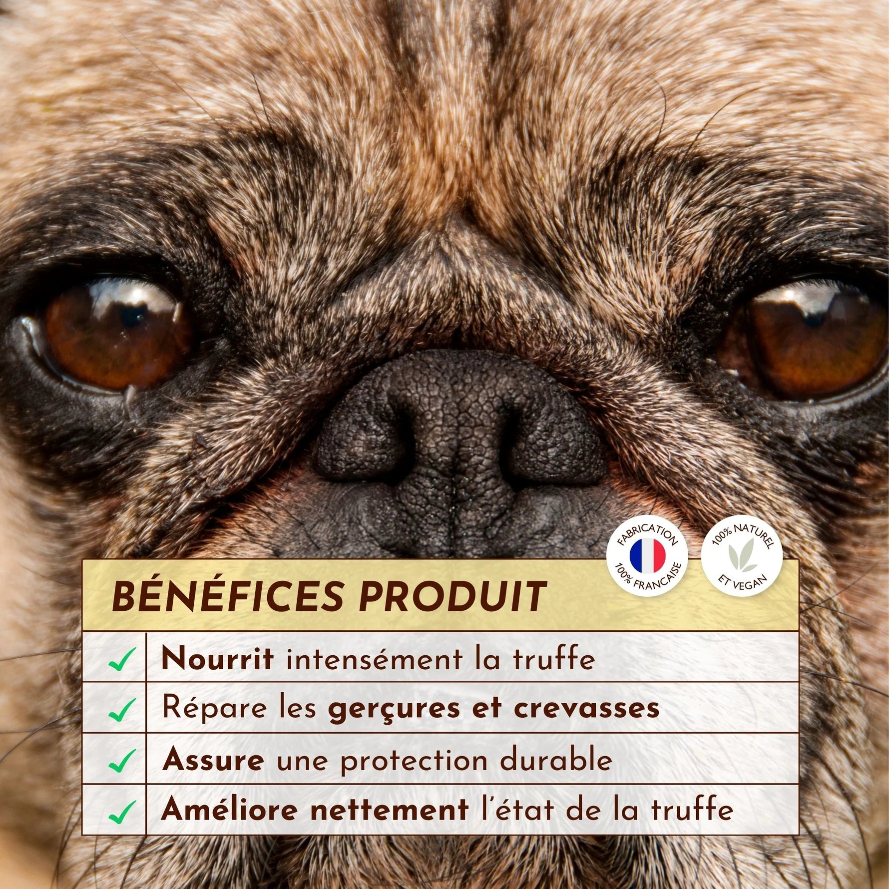 Stick baume truffe - Dexter&Mango