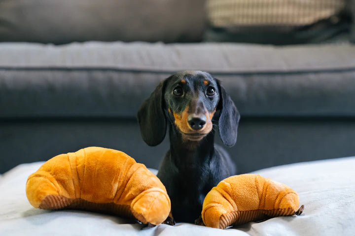 Jouet croissant - PetPlay