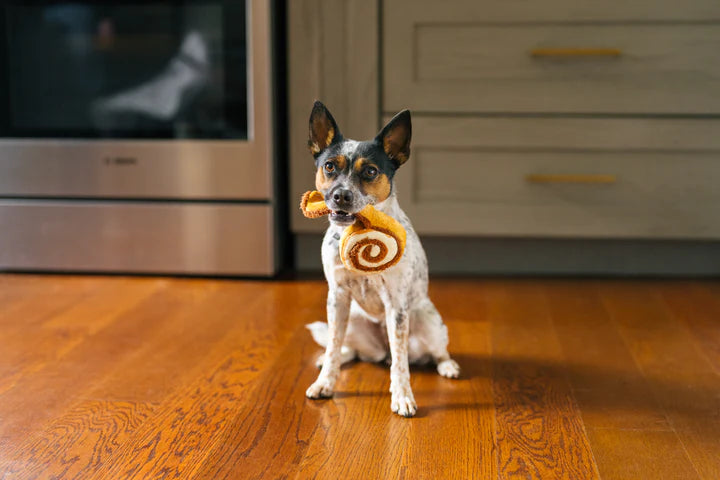 Jouet Cinna-bone roll - PetPlay