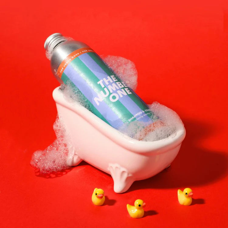Shampoig et après-shampoing - Jampy