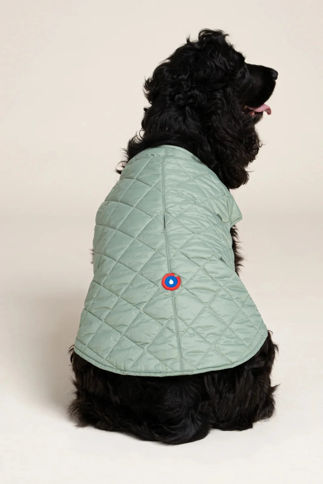 Doudoune pour chien Vincennes - Flotte.