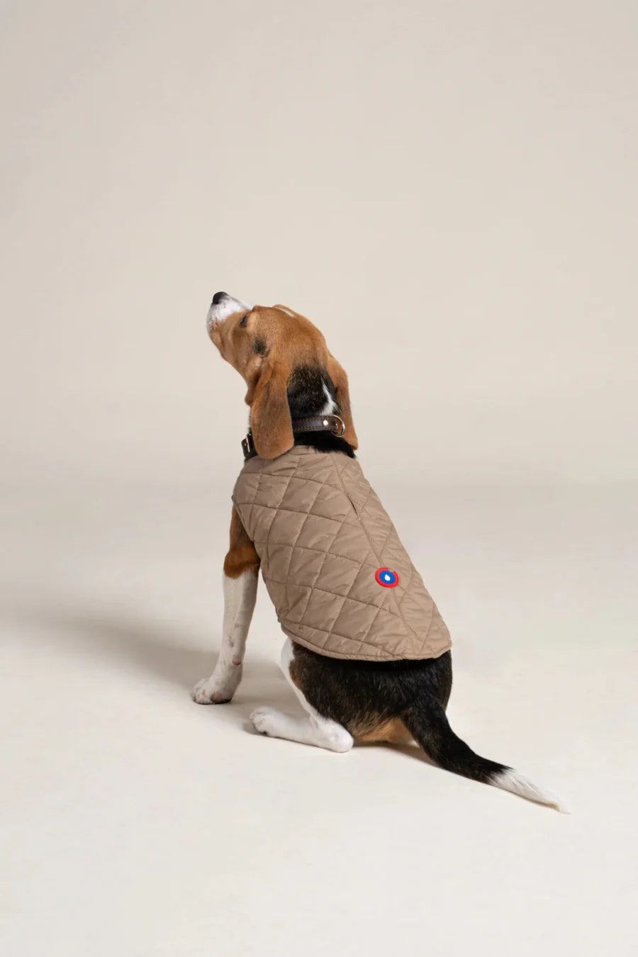 Doudoune pour chien - Flotte.