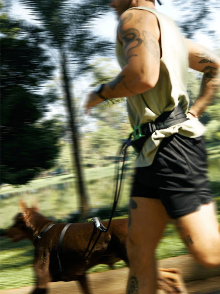 Ceinture pour Canicross ZEE.RUN BELT - Zee.dog