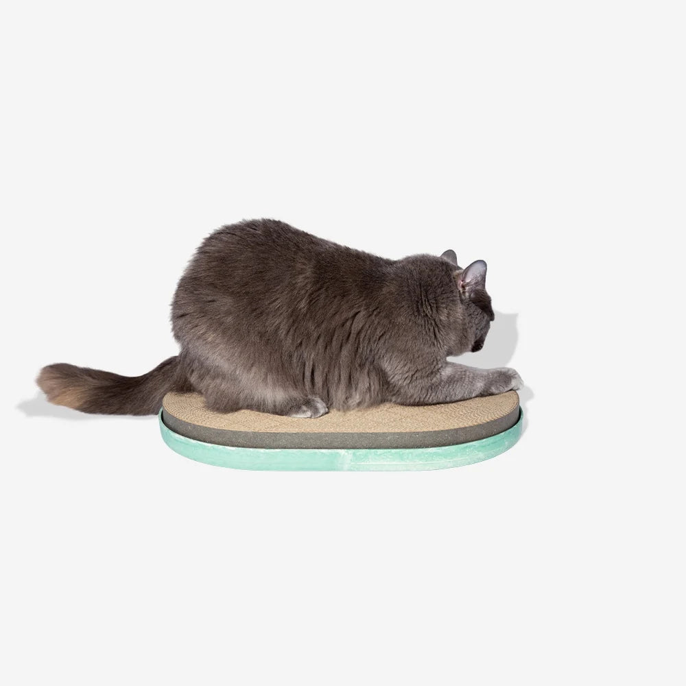 Griffoir pour chat - zee.cat