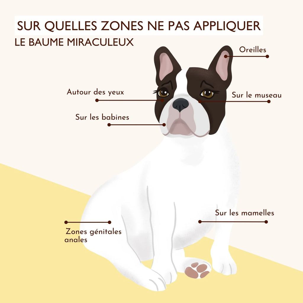 Baume anti démangeaison pour chien - Dexter&Mango