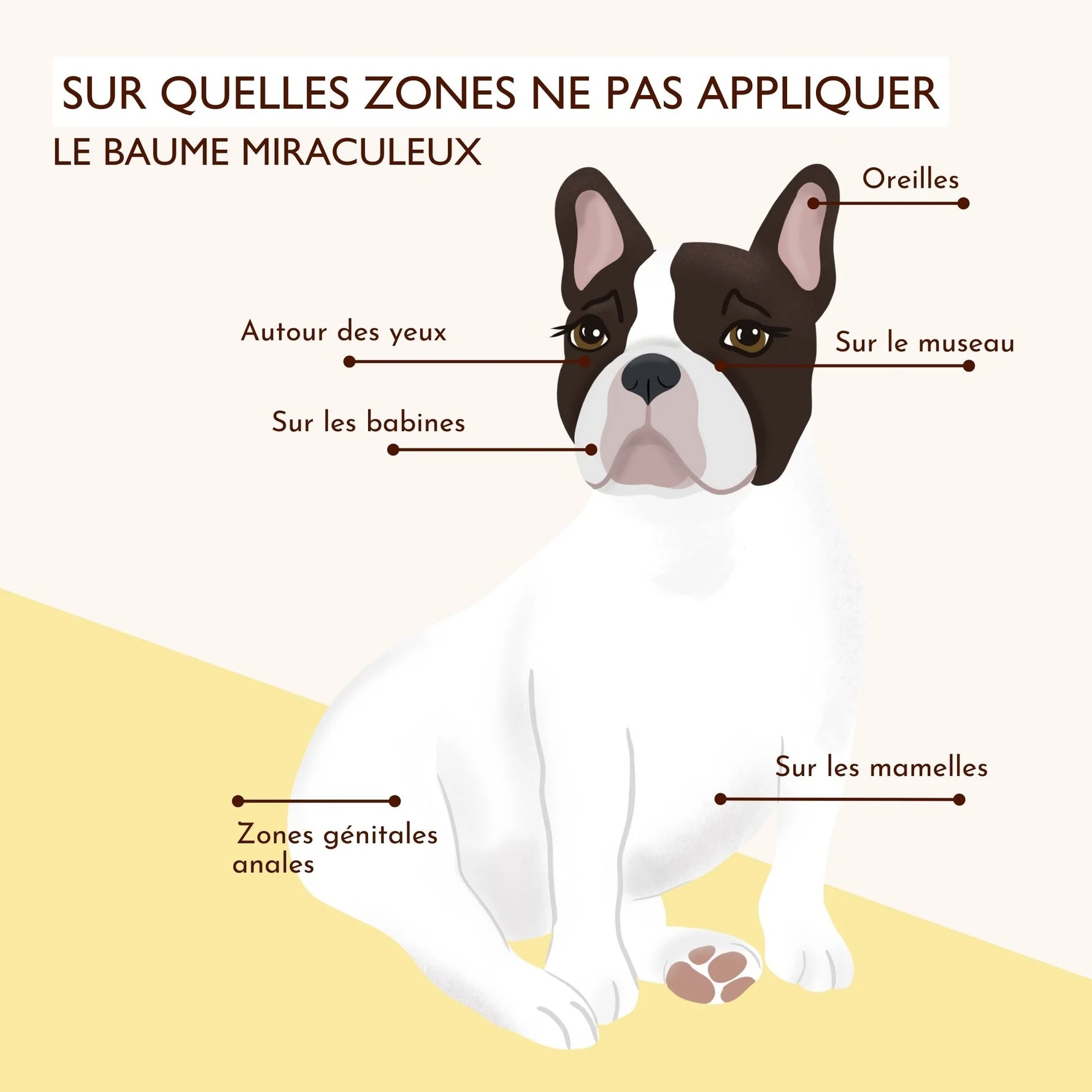 Baume anti démangeaison pour chien - Dexter&Mango
