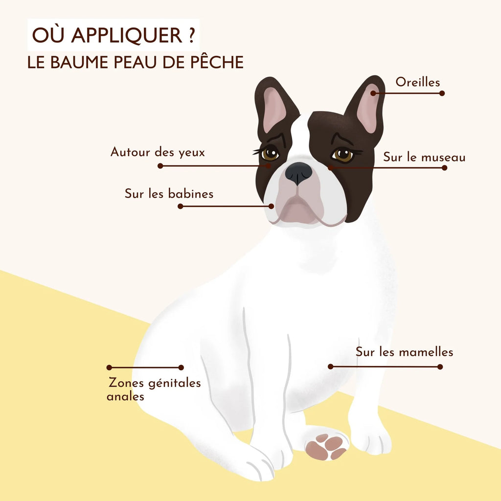 Baume irritation peau du chien - Dexter&Mango